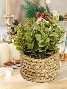 1pc Artificial Woven Rattan Potted Plant, Faux Eucalyptus Greenery, Mini Potted Plant, Home Decor, Suitable For Desktop, Party, Kitchen, Garden Decoration, Decorative Ornament, Sculpture, Room Decor, Back To School, Wedding - Multicolor - View 8