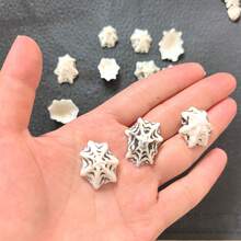 1盒約30g或1盒約60g海洋帽貝殼,適用於DIY珠寶製作、魚缸浴室家居裝飾、派對蠟燭婚禮裝飾、手工藝品 - 套裝 - 查看 8