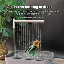 Bird Grooming & Baths - 04 - View 2
