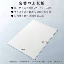 ペーパーエントランス コピー用紙 上質紙 【特厚口】110kg B5 100枚 印刷 プリンター用紙 55299 - 白 - チェックする 2