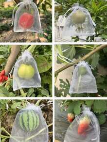 Extra Large Zippered Drawstring Fruit Tree Protection Bag, Breathable Gardening Fruit Protective Net Bag, Reusable Bird And Insect Proof Fruit Protection Cover, Durable Plant Fruit Isolation Cover, Outdoor Orchard Planting Protection Net Bag, Essential Fruit Protection Cover For Gardening Enthusiasts, Multi-Functional Fruit Wrapping Storage Bag, Compatible With Apples, Peaches, Oranges, Grapes, Cherries, Mangoes, Farm, Yard, Patio, Garden Planting Supplies, Fruit Isolation Bag, Tightening Fruit Protection Cover For Home And Fruit Farmers - Multicolor - View 2