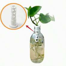 1pc Hydroponic Growing Kit, Hydroponic Growing Basket, Hydroponic Growing Tools - A - View 4