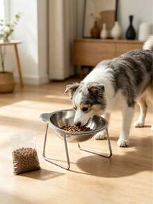 1pc/4pcs Stainless Steel Pet Bowl, Shatterproof & Rust-Resistant Elevated Cat & Dog Food Bowl, Ergonomic Neck Protection Anti-Spill, Easy To Clean Pet Water Bowl, Suitable For Small And Medium Pets - 500ml - View 3