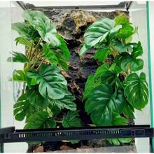 Artificial Tropical Rainforest Plants For Reptiles, Pet Reptile Terrarium Plants Decoration, Suction Cup Installation, Glass Container Reptile Plants Decoration, Pet Reptile Habitat Plants, Lizard, Crested Gecko, Bearded Dragon, Snake, Horned Frog, Snail, Insect Terrarium Decoration - View 8
