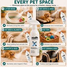 4pcs Cat Litter Box Deodorizer Donuts, Long-Lasting Fresh Pet Fragrance, 4pcs/1pc Cat Litter Box Deodorizer Set - Eliminates Odors, Freshens Air, Provides Long-Lasting Scent For Cat Litter Boxes And Cat Beds, Relieves Cat's Olfactory Discomfort, Easily Purifies Air In Cat Corners, Bathrooms, Closets And Cars, Creates A Cleaner And Healthier Environment, 1pc Can Deodorize, Pet Cat And Dog Supplies - Multicolor - View 4