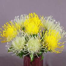 6/3/1pc Artificial Holiday Decorative Flowers - Red Emperor Silk Chrysanthemum, Long-Lasting Without Fading Or Wilting. Versatile Use, Suitable For Home Living Room, Dining Table, Entryway, Bedroom And Other Scenes As Decoration, Also Can Be Used For Wedding Floral Arrangements, Party Decor, Flower Shop Display, Photography Props, An Excellent Choice For Creating Atmosphere - Multicolor - View 6