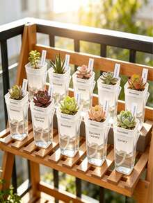 Self-Watering Transparent Planter Set, Mini Indoor Flower Pot With Water Level Indicator 1pc/4pcs/2pcs - Self-watering Flower Pots - View 2
