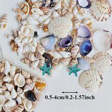 Paquete mixto de estrellas de mar y conchas de resina | Caja cuadrada de 6.5cm - Adecuado para accesorios de decoración de conchas DIY para entusiastas de las manualidades, decoración de arena del fondo del acuario y creación de micro paisajes en botellas a la deriva, colores y patrones aleatorios - Colocar - Ver 2