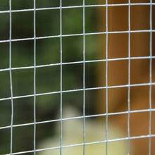 Shed For Dwarf Chickens With Run And Nesting Box, Fir Wood, Yellow/Green, 168x75x103 Cm, Ideal For Dwarf Chickens. - 查看 3