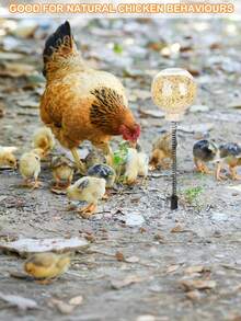Chicken Pecking Toys For Hens, Poultry, Ducks, And Parrots - Interactive Swing Feeder With Spring And Ground Stake; Spring-Action Puzzle Toy For Chicks; Suitable As Coop Accessories And Foraging Feeders For Caged Or Free-Range Chickens - D - View 4