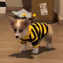 1 pièce Sweat-shirt à capuche de transformation en abeille pour animaux de compagnie - Multicolore - Voir 6