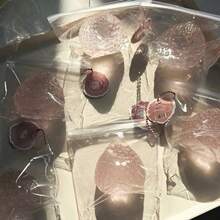 Tachimi 3色草莓捏捏玩具，產品顏色可能因光線強度而略有差異，請謹慎購買，所有款式隨機發貨 - 彩色 - 查看 9