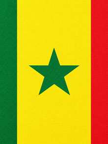 Senegal Flag No.4 90*150cm 1pc - Senegal - View 3
