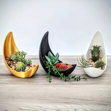 Creative Crescent Moon Shaped Planter, Multi-Color Moon Bowl For Succulents, Cacti And Air Plants, Niche Artistic Desktop Potted Plant - Crescent Moon - View 6