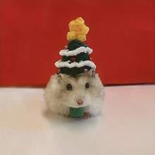 Handmade Knitted Christmas Hat For Hamsters And Small Pets - Add A Special Christmas Touch To Your Pet's Look, Christmas Gift For Small Pets - Multicolor - View 6