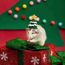 Handmade Knitted Christmas Hat For Hamsters And Small Pets - Add A Special Christmas Touch To Your Pet's Look, Christmas Gift For Small Pets - Multicolor - View 11