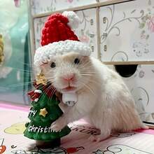Handmade Knitted Christmas Hat For Hamsters And Small Pets - Add A Special Christmas Touch To Your Pet's Look, Christmas Gift For Small Pets - Multicolor - View 3