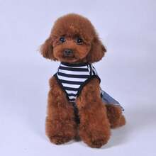 1pc Pet Dress, Breathable Striped Dog Princess Dress For Summer And Autumn, Lace Pocket Double Layer Hem, Pet Clothes For Teddy, Yorkshire Terrier And Small Dogs - Multicolor - View 21