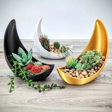 Creative Crescent Moon Shaped Planter, Multi-Color Moon Bowl For Succulents, Cacti And Air Plants, Niche Artistic Desktop Potted Plant - Crescent Moon - View 8