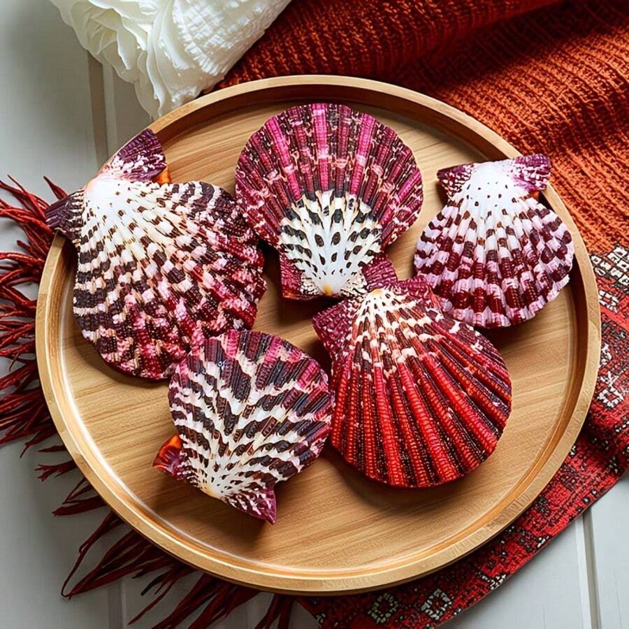 1件/2件 油畫扇貝殼-紅色配白色與紫色扇形海螺殼,可用於家居裝飾雕像擺件、水族魚缸裝飾、攝影道具,獨特海洋收藏品,優雅紅紫色天然貝殼,隨機顏色與花紋 - 套裝 - 查看 1