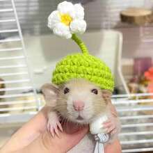 1pc Cartoon Knitted Mini Hat, Multiple Cartoon Yarn Hats, Handmade Knitted Pet Hat - Multicolor - View 1