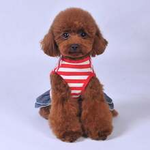 1pc Pet Dress, Breathable Striped Dog Princess Dress For Summer And Autumn, Lace Pocket Double Layer Hem, Pet Clothes For Teddy, Yorkshire Terrier And Small Dogs - Multicolor - View 12