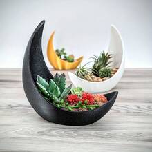 Creative Crescent Moon Shaped Planter, Multi-Color Moon Bowl For Succulents, Cacti And Air Plants, Niche Artistic Desktop Potted Plant - Crescent Moon - View 7