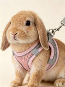 Bộ dây xích và đai đeo cho thú cưng nhỏ bằng lưới thoáng khí, dây xích dắt kiểu áo vest điều chỉnh được cho thỏ, đai ngực chống thoát phù hợp cho thỏ, chuột lang đi dạo ngoài trời: - Nhiều màu - Xem 10
