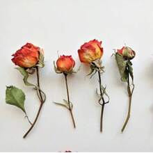 20pcs Artificial Rose Flowers, Faux Roses, Mini Rose Buds, Resin Handmade Mini Artificial Flowers, Craft Decoration Artificial Flowers, Wedding Home Decor, Wedding Floral Decoration - Orange - View 2