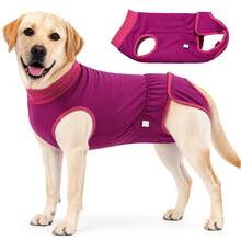 Dog Recovery Suit Soft Stretch Surgical Anti Licking Pet Recovery Shirt For Medium Large Dogs - Multicolor - View 14