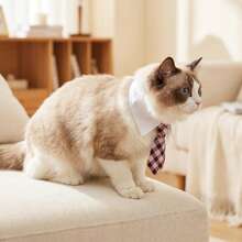 Pet Stylish Plaid Tie, Adjustable Size, Easy-To-Wear Adhesive Design, Decorative Accessory For Cats And Dogs, Perfect For Outings, Photoshoots And Dress-Up, Pet Ornament - Pink - View 7