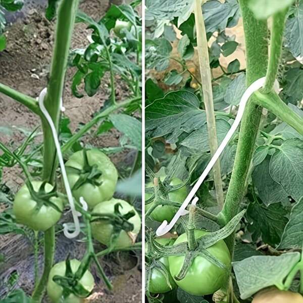 pdva 10pcs Plastic Plant Fruit Support Hooks, Reusable Tomato Grape Fruit‑Ear Hanging Hooks, Durable Garden Trellis Vine Fixing Hook, Vegetable Stem Holder For Greenhouse Planting Supplies
