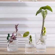 Kẹp cố định cây cho cây thủy canh và hoa, công cụ hỗ trợ tăng trưởng thẳng đứng, kẹp cố định cây xanh và hoa, phụ kiện trang trí bình hoa tại nhà - A - Xem 4