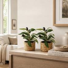 1/2pcs 5.51inch Olive Imitation Small Plants, With Pure Green Leaves That Are Versatile And Suitable For Cream Or Japanese Styles. They Are Suitable For Use On Home Coffee Tables, Model Rooms, Tea Rooms, And Study Desks As Decorative Items - Green - View 2