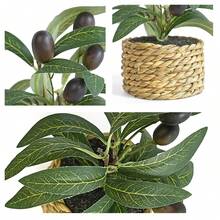 1/2pcs 5.51inch Olive Imitation Small Plants, With Pure Green Leaves That Are Versatile And Suitable For Cream Or Japanese Styles. They Are Suitable For Use On Home Coffee Tables, Model Rooms, Tea Rooms, And Study Desks As Decorative Items - Green - View 3