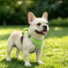 Dog Harness Harness For Small Dogs No Pull Dog Vest Harness For Small Dog With Soft Padded Handle For Outdoor Training - Multicolor - View 9