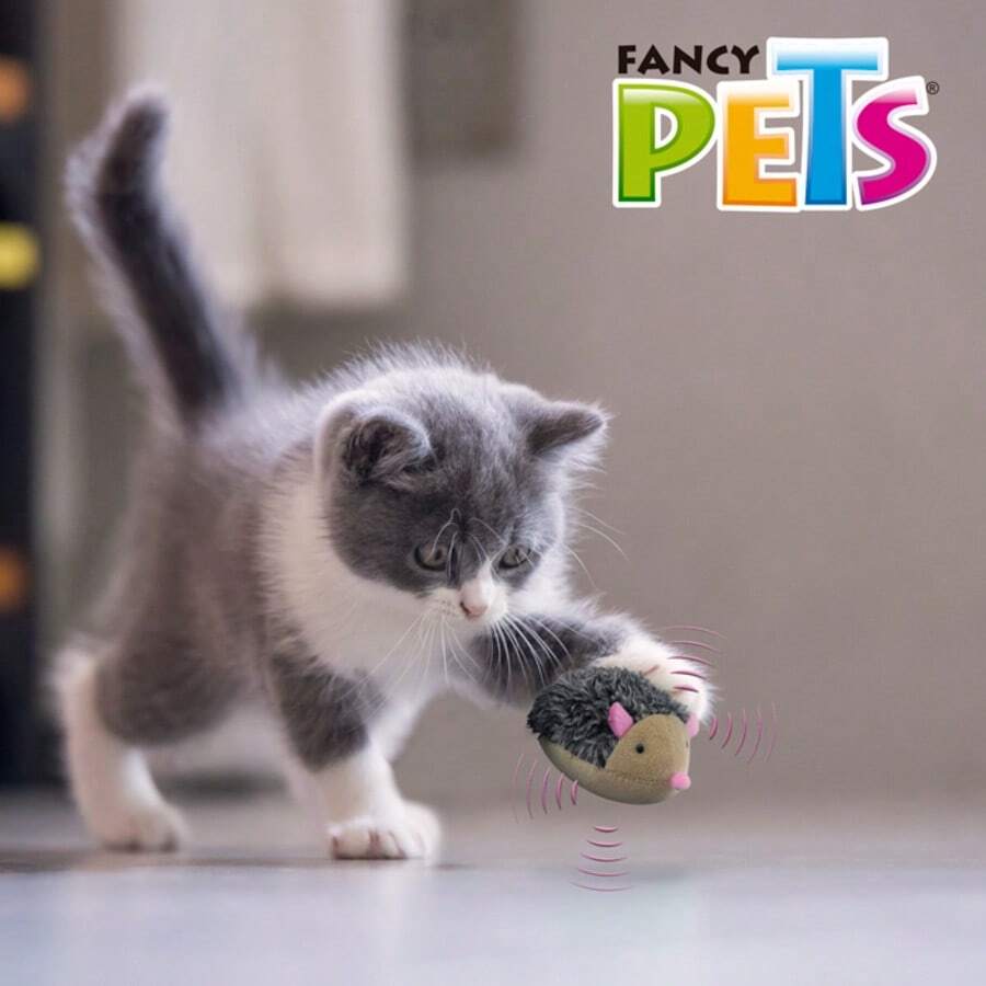 Fancy Pets Vibrating Hedgehog Catch Toy For Cats (1 Piece) - View 1