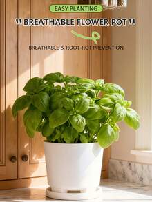 Brand New Plastic Flower Pot With Drainage Holes, Anti-Root Rot, New Material, Home Use With Base - A - View 11