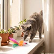 1-10pcs Plush Mouse Cat Toys, Super Soft Short Plush With Colorful Feather Tail, 4 Colors Interactive Kitten Play Toys - Random Style - View 2