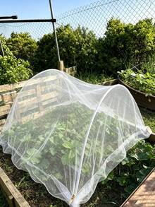 1件装植物攀爬网，攀爬植物支架网，尺寸3x6英尺/6x6英尺，种植用品和工具，耐用涤纶植物支撑网，可促进植物生长得更大更健康，适用于黄瓜、番茄、水果、蔬菜、葡萄、豆类和其他攀爬植物。 - 彩色 - 查看 5