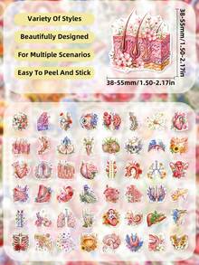 50Pcs Watercolor Floral Human Anatomy Organ Stickers, Vintage Medical Skeleton Tissue Floral Decals, Realistic Heart Brain Lung Bone Nerve Rose Peony Wildflower Stickers For Journal, Envelope, Laptop, Scrapbook & Medical Student Crafts - Multicolor - View 4