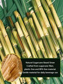 Natural Brown Sugarcane Straws, Suitable For Hot/Cold Drinks, Coffee, Cocktails, Juices, Home Parties, Beach Parties - View 9