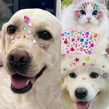 4pcs DIY Acrylic Rhinestone Pet Stickers - Colorful Heart, Flower, Star Shapes, Random Colors And Styles, Suitable For Dog And Cat Grooming Decoration - Multicolor - View 4