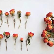 20pcs Artificial Rose Flowers, Faux Roses, Mini Rose Buds, Resin Handmade Mini Artificial Flowers, Craft Decoration Artificial Flowers, Wedding Home Decor, Wedding Floral Decoration - Orange - View 3