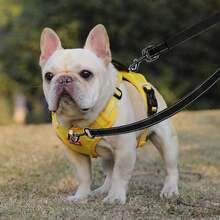 1Set Two Point Control Dog Leash, Reflective Padded No Pull Training Lead, Convertible Single Dog Walking Leash For Medium Large Dogs, Compatible With No Pull Harne - Multicolor - View 5