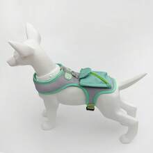 狗狗牽繩背心胸背帶，適用泰迪、柴犬、小型與中型犬，防逃脫胸背帶，適合戶外散步 - 彩色 - 查看 13