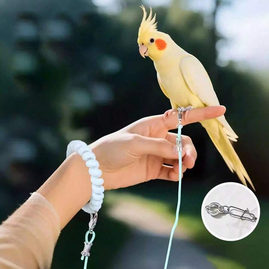 Budgerigar Bird Flight Leash, Elastic Anti-Tangle Design, Outdoor Bird Walking Flight Rope, Suitable For Cockatiel, Budgie And Other Small Birds, Pet Bird Leg Chain Leash For Outdoor Flight - A+B - View 1