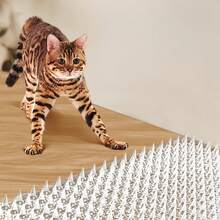 10/20pcs DIY Plastic Bird Spikes, Prevent Cats And Squirrels From Entering Garden Fence, Repel Pigeons, Outdoor Bird Spikes, Fence Wall Bird Spikes, Gardening Supplies - White - View 3