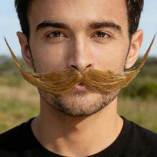1pc Halloween Party Costume Fake Mustache, Realistic Large Size Curved Shaped Handlebar Mustache - Multicolor - View 11
