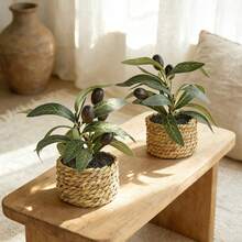 1/2pcs 5.51inch Olive Imitation Small Plants, With Pure Green Leaves That Are Versatile And Suitable For Cream Or Japanese Styles. They Are Suitable For Use On Home Coffee Tables, Model Rooms, Tea Rooms, And Study Desks As Decorative Items - Green - View 4